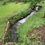 Stream in East Washington