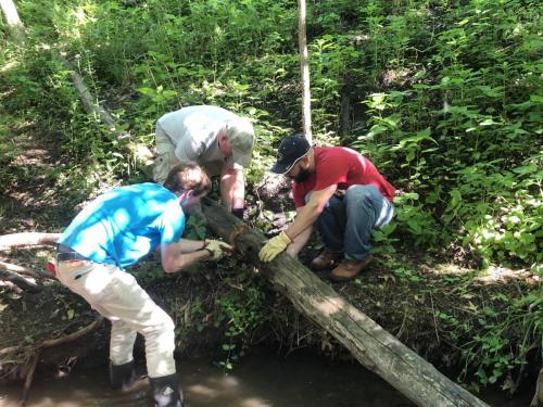 Clearing away debris