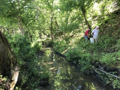 Volunteers clearing out the area