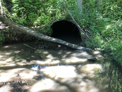 blocked culvert before