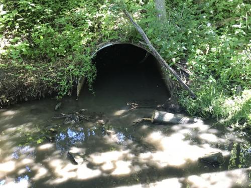 blocked culvert after